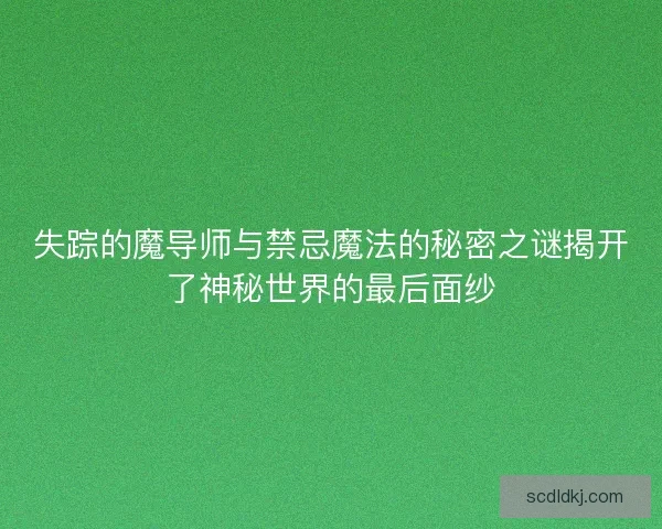 失踪的魔导师与禁忌魔法的秘密之谜揭开了神秘世界的最后面纱