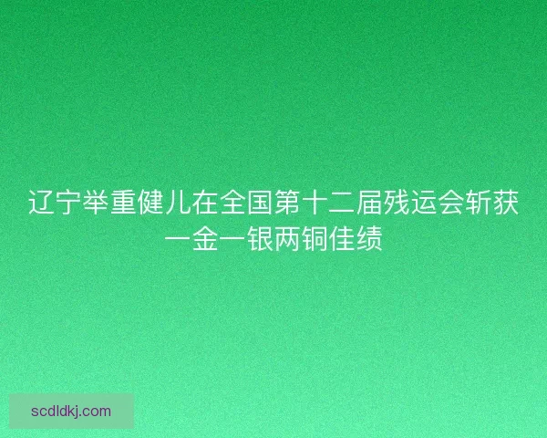 辽宁举重健儿在全国第十二届残运会斩获一金一银两铜佳绩