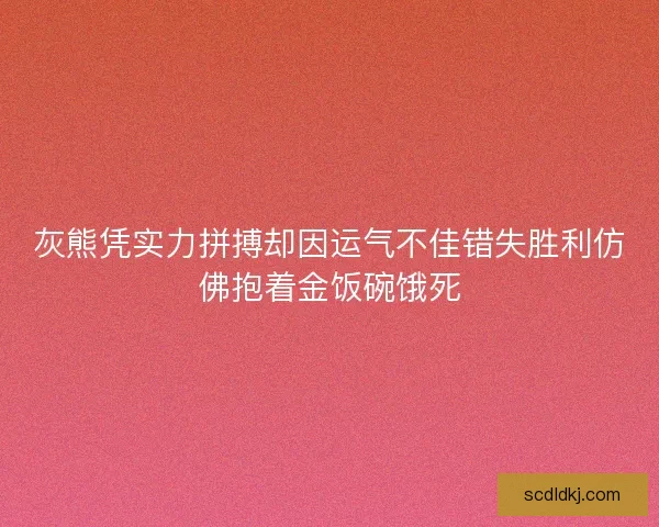 灰熊凭实力拼搏却因运气不佳错失胜利仿佛抱着金饭碗饿死
